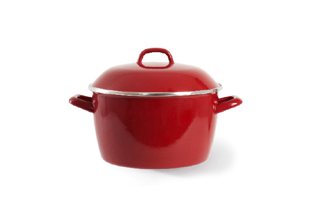 Stew pot with lid